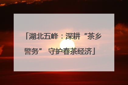 湖北五峰：深耕“茶乡警务” 守护春茶经济
